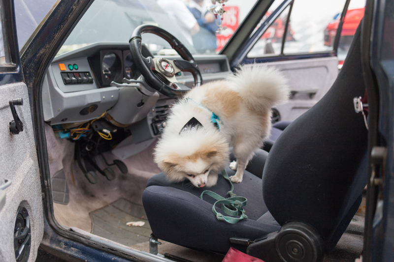 Photo: Kristen Lee/Jalopnik